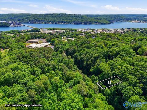Vacant Land For Sale - LOT 11 Lusk Street<br/> Guntersville, AL 35976