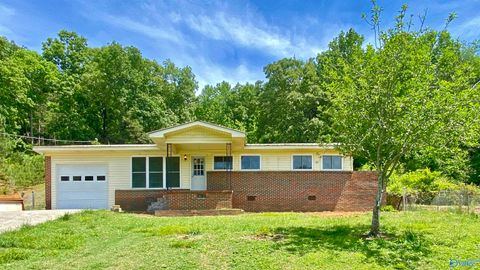 Photo of 398 Rocky Hollow Cutoff, Attalla, AL 35954 (MLS # 21917504)