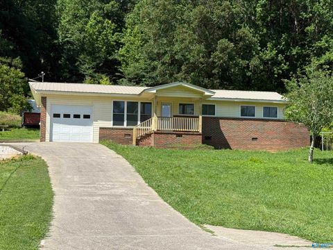 Homes For Sale - 398 Rocky Hollow Cutoff Rd<br/> Attalla, AL 35954