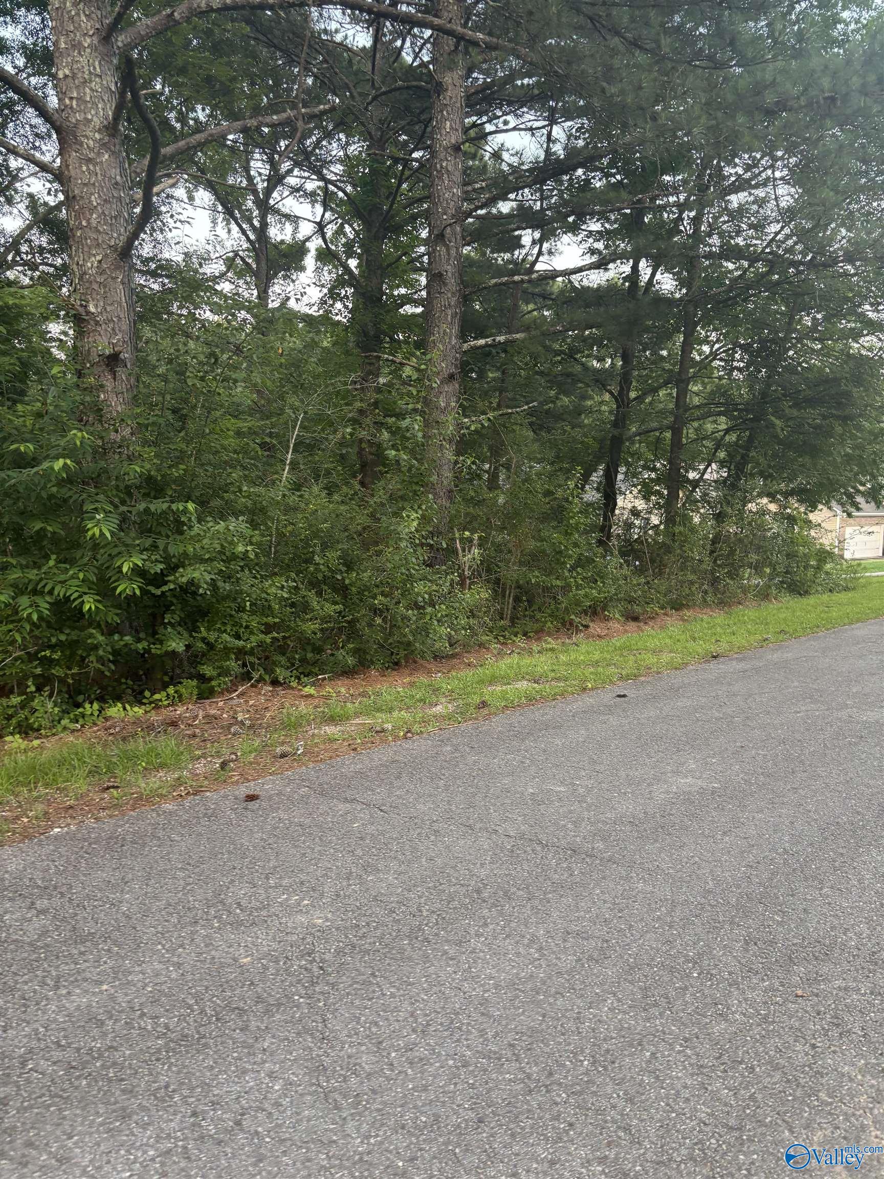1 Berkley Hills Drive, Southside, Alabama image 2