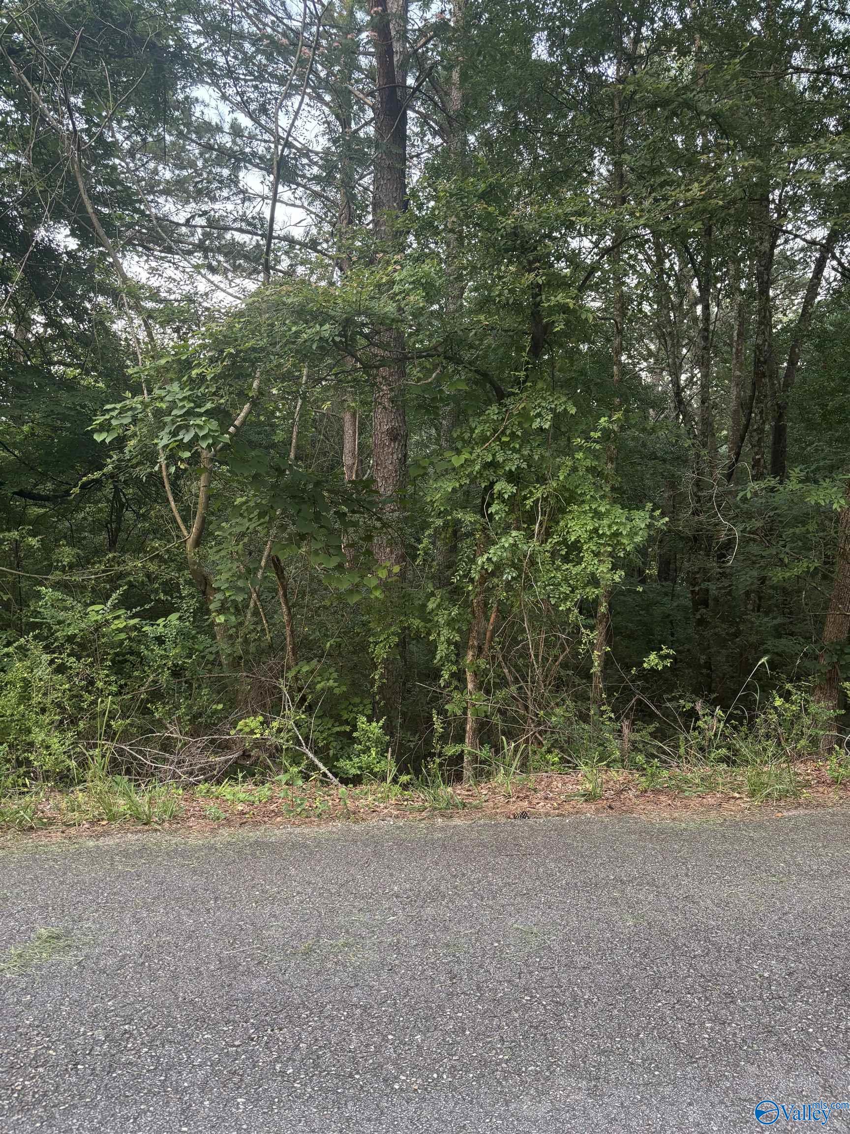 1 Berkley Hills Drive, Southside, Alabama image 1