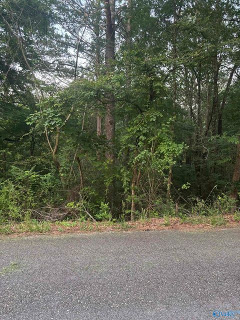 Vacant Land For Sale - 1 Berkley Hills Drive<br/> Etowah County, Southside, AL 35907