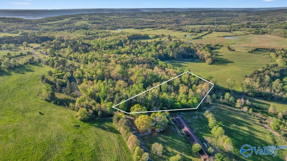 5 ACRES County Road 48, Section, Alabama image 5