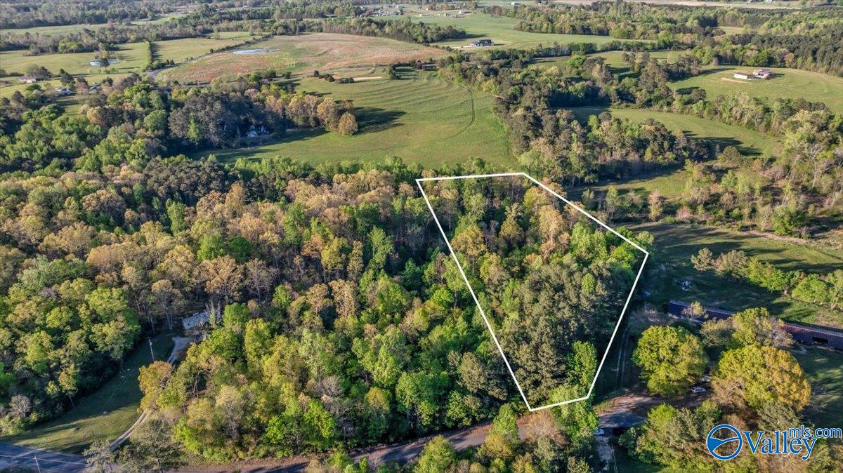 5 ACRES County Road 48, Section, Alabama image 2