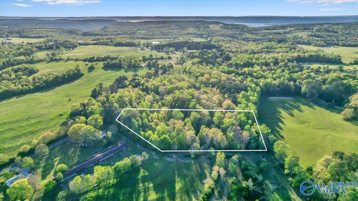 5 ACRES County Road 48, Section, Alabama image 4