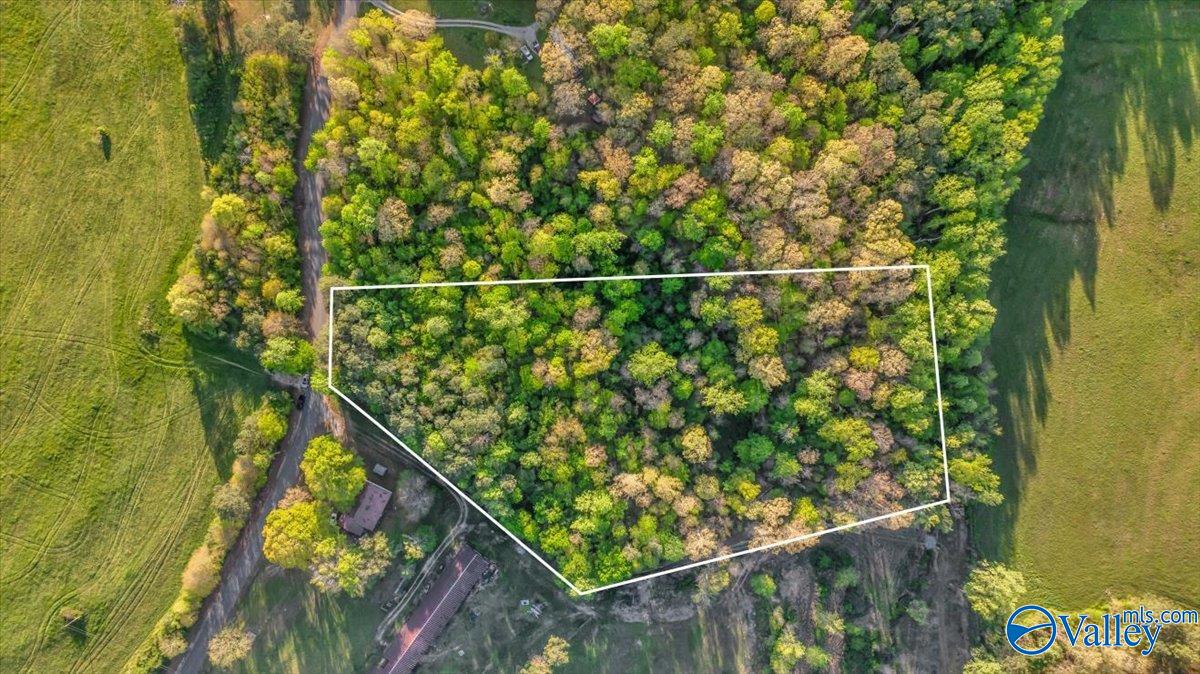 5 ACRES County Road 48, Section, Alabama image 1