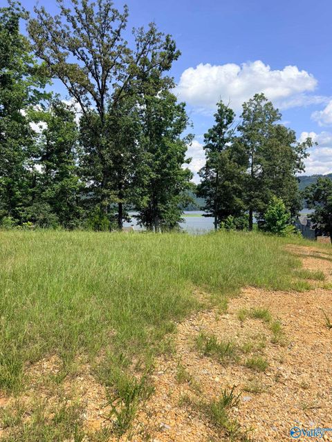 Vacant Land For Sale - 1749 Lookout Mountain Drive<br/> Jackson County, Scottsboro, AL 35769