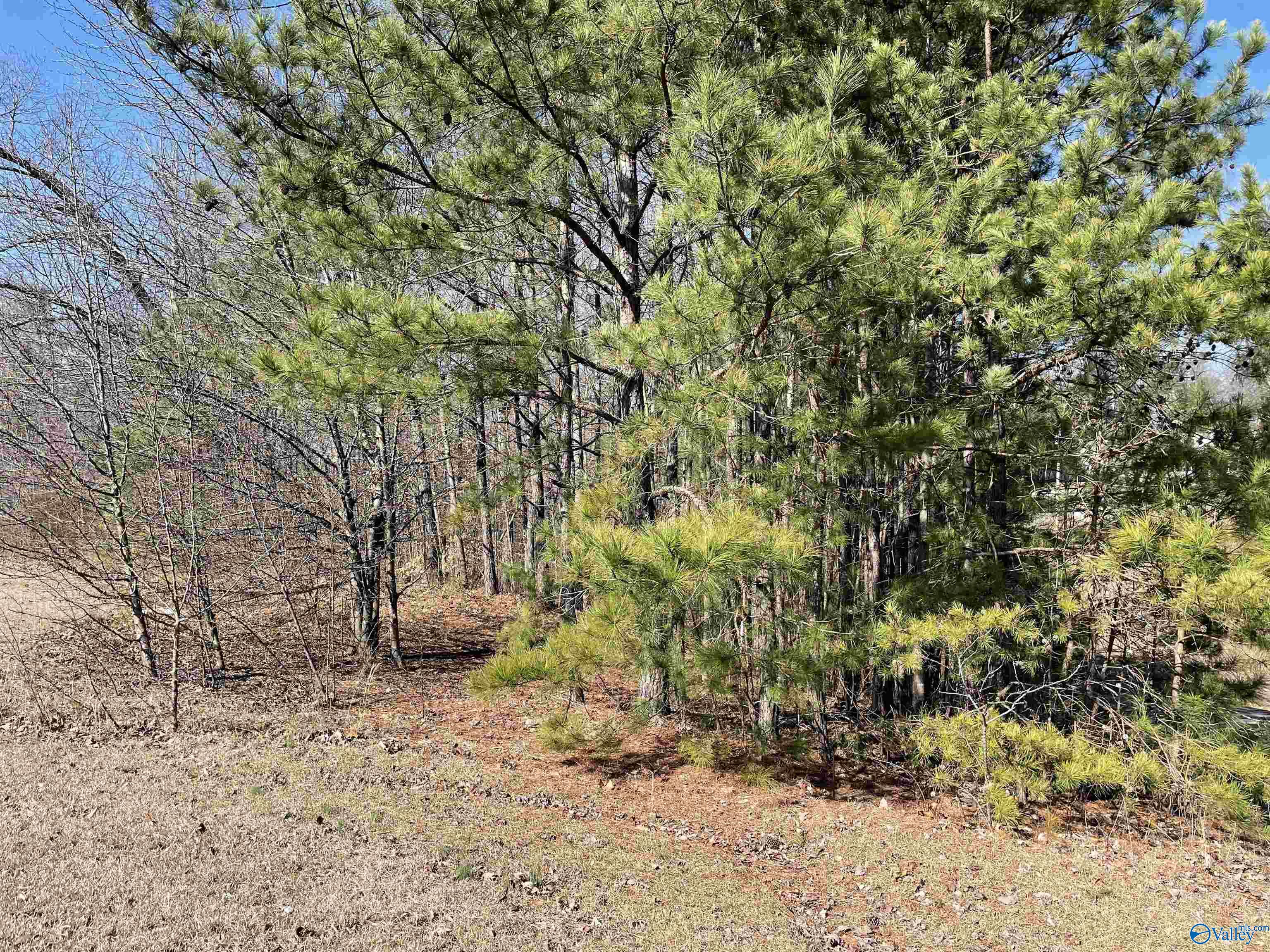 B Lot 17 Cardinal Drive, Guntersville, Alabama image 1