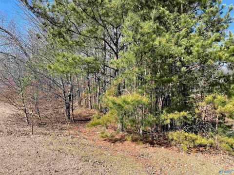 Vacant Land For Sale - B LOT 17 Cardinal Drive<br/> Guntersville, AL 35976