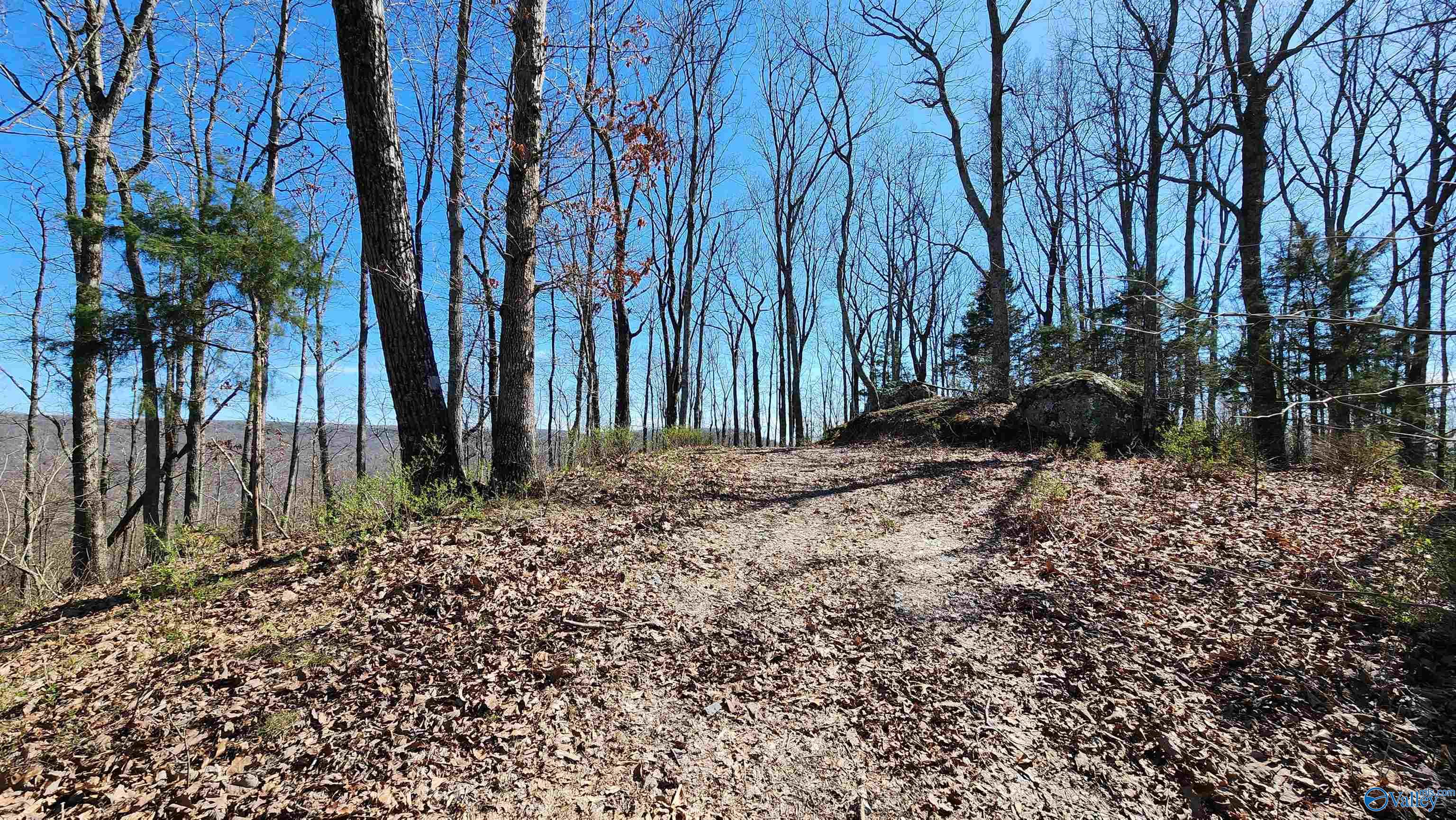 76acres Blowing Cave Road, Gurley, Alabama image 8