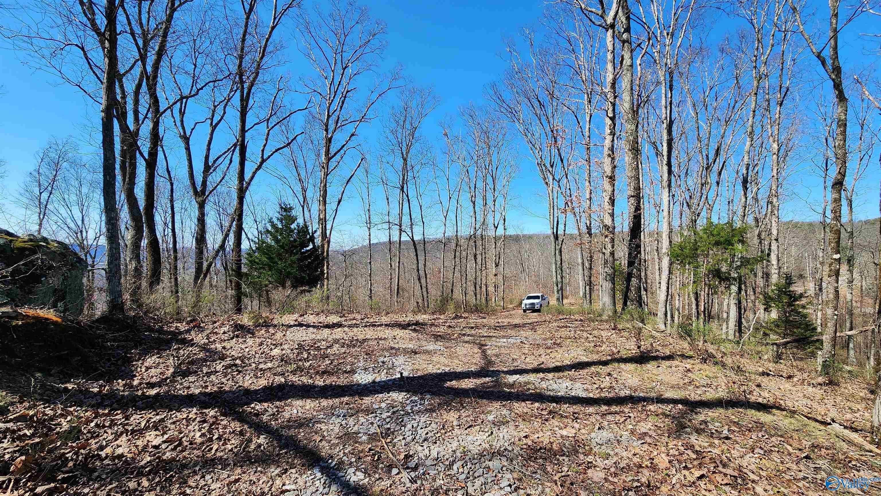 76acres Blowing Cave Road, Gurley, Alabama image 7