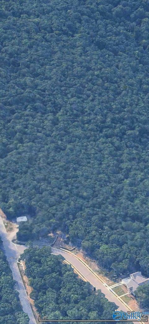 Vacant Land For Sale - 1 SE South Ridge<br/> Madison County, Huntsville, AL 35802