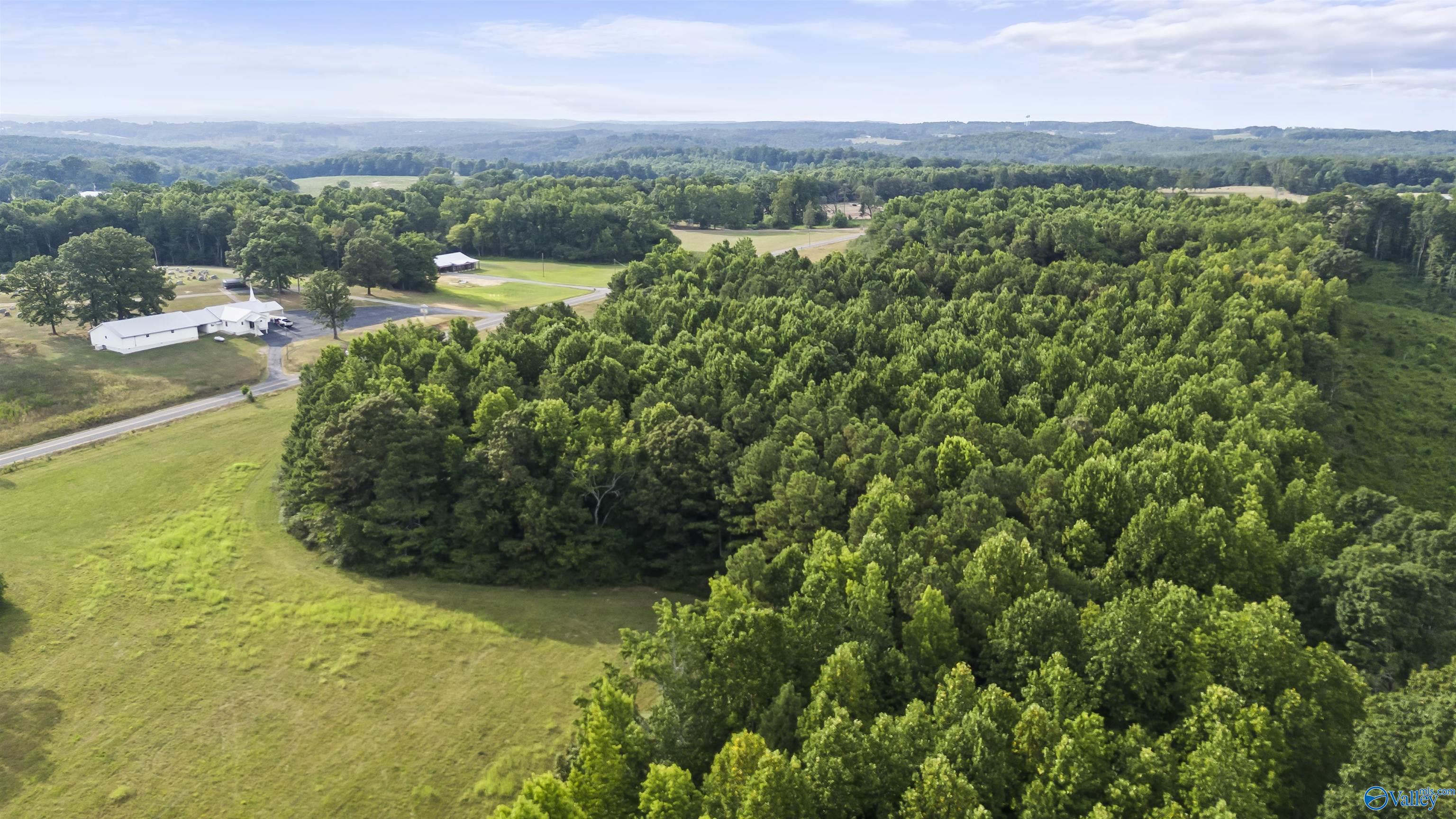 15.26 AC County Road 1069, Vinemont, Alabama image 8