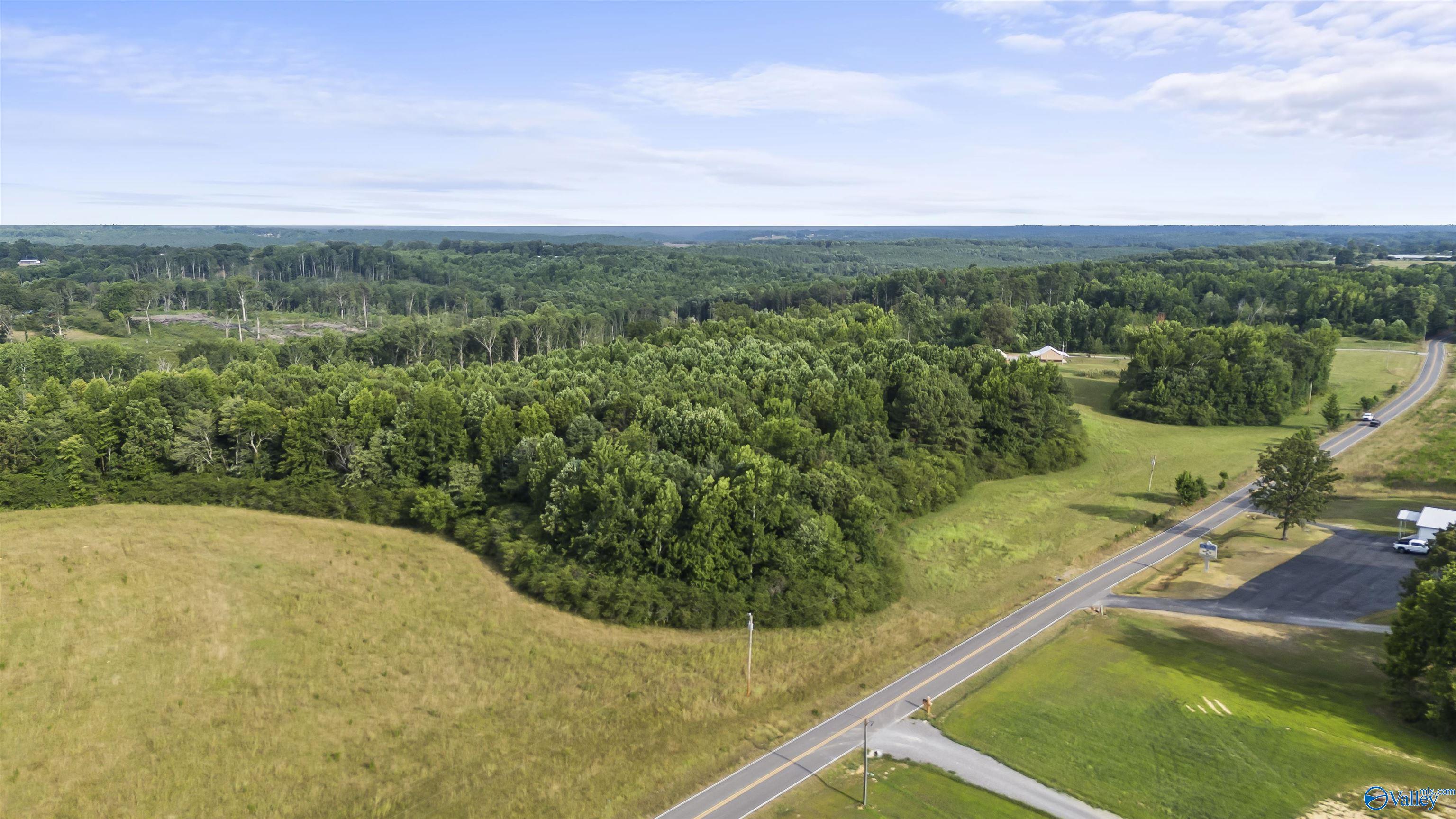 15.26 AC County Road 1069, Vinemont, Alabama image 12