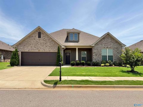 Homes For Rent - 12804 Hudbug Drive<br/> Madison, AL 35756