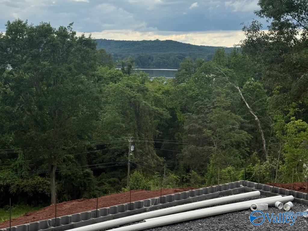 3445 Creek Path Road, Guntersville, Alabama image 5