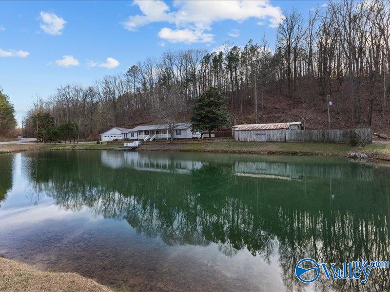 1007 Rocky Hollow Road, Blountsville, Alabama image 3