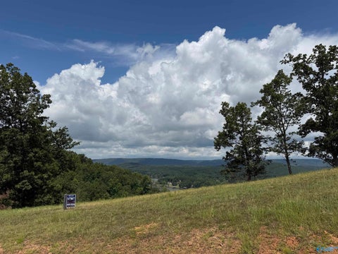 Vacant Land For Sale - LOT 213 County Road 1022 #213<br/> Cedar Bluff, AL 35959