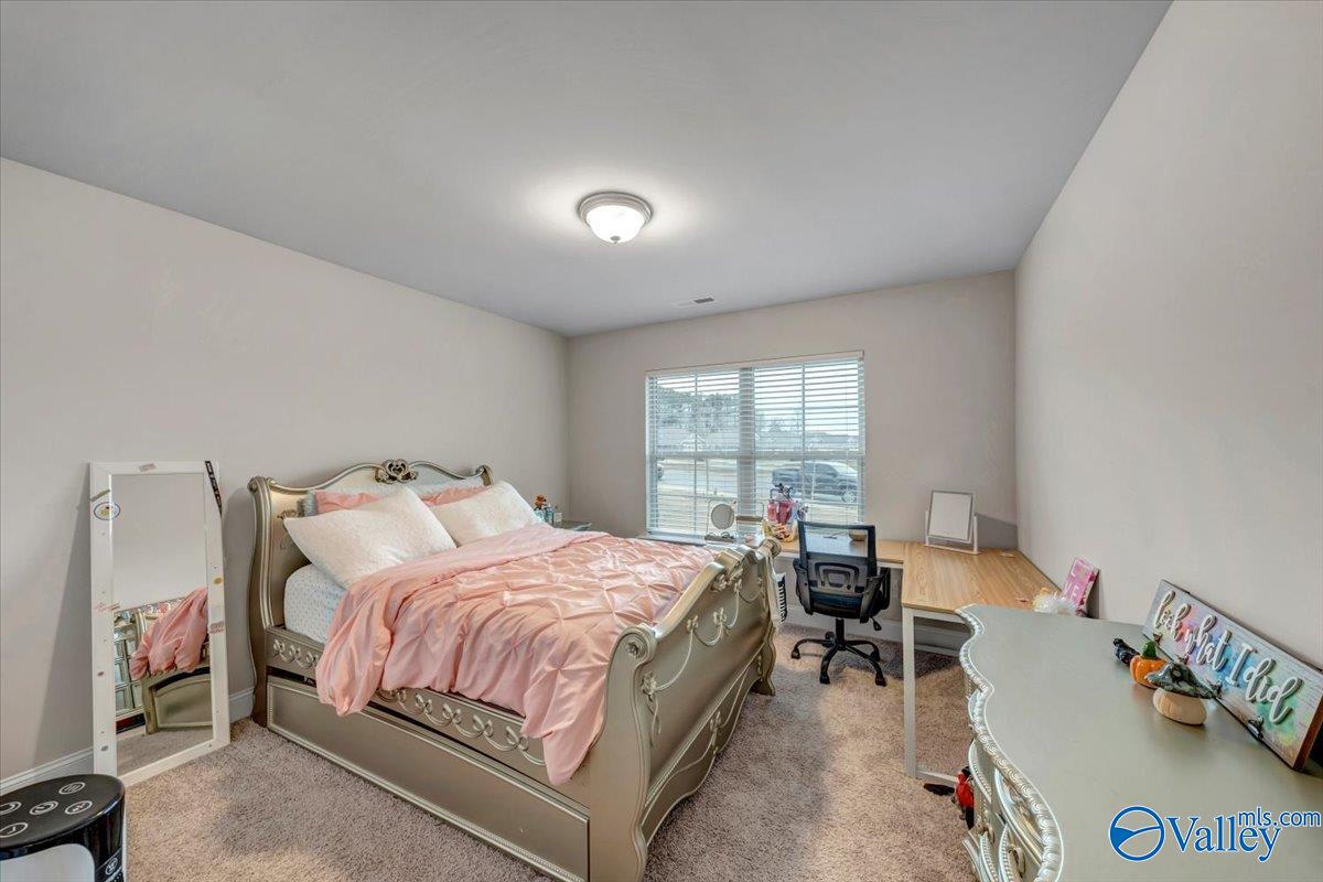 6220 SE Eagle Point Circle, Owens Cross Roads, Alabama image 23