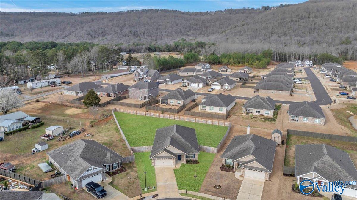 6220 SE Eagle Point Circle, Owens Cross Roads, Alabama image 2