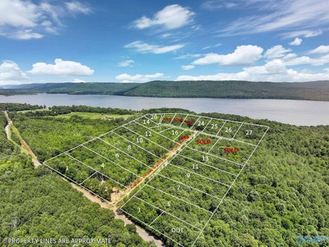 Vacant Land For Sale - LOT 1 1.4 ACRES Durham Road<br/> Langston, AL 35755
