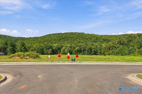 Vacant Land For Sale - 6170 Feather Way<br/> Owens Cross Roads, AL 35763