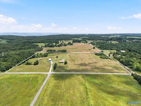 Homes For Sale - 2083 County Road 66<br/> Section, AL 35771