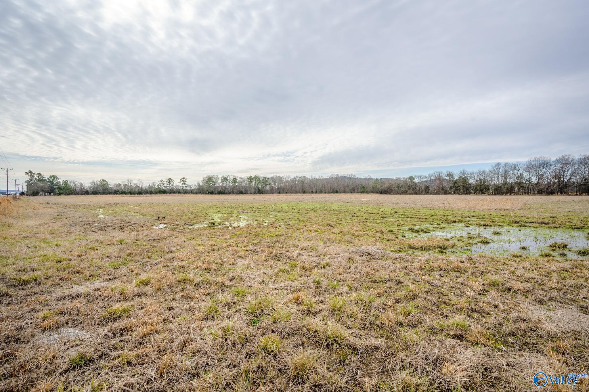 12.5 Acres S U S Hwy 431, New Hope, Alabama image 25