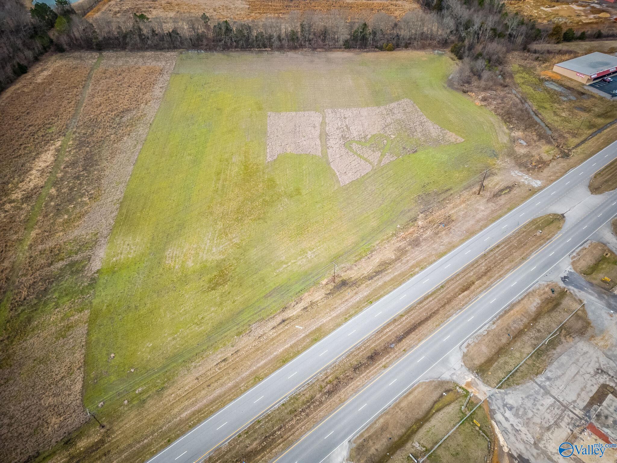 12.5 Acres S U S Hwy 431, New Hope, Alabama image 22