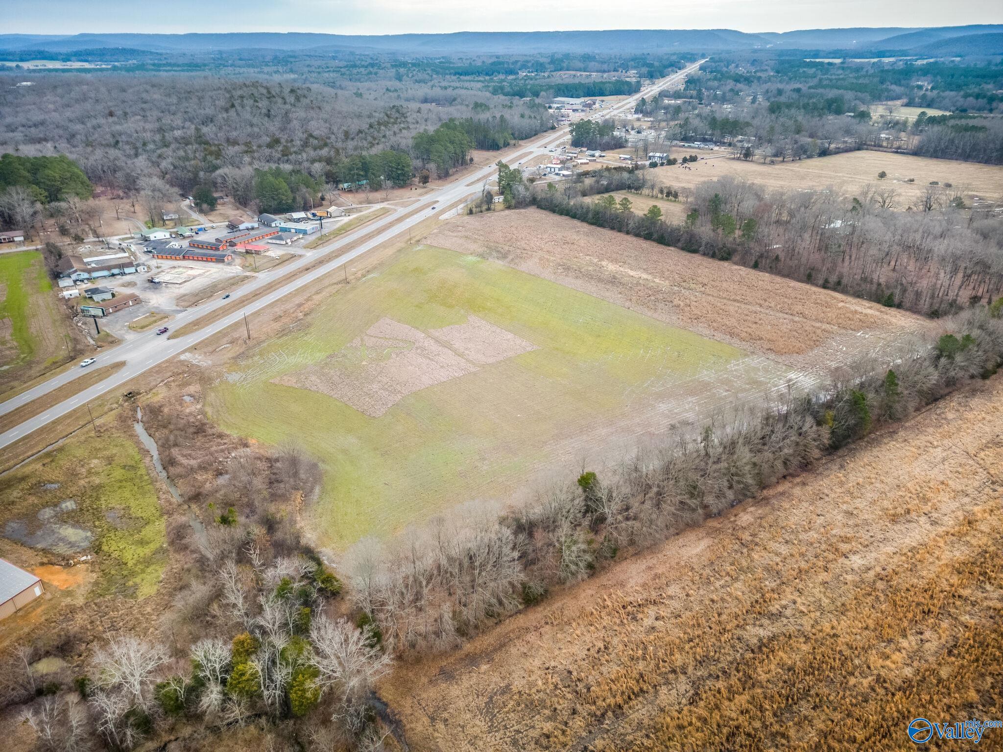 12.5 Acres S U S Hwy 431, New Hope, Alabama image 14