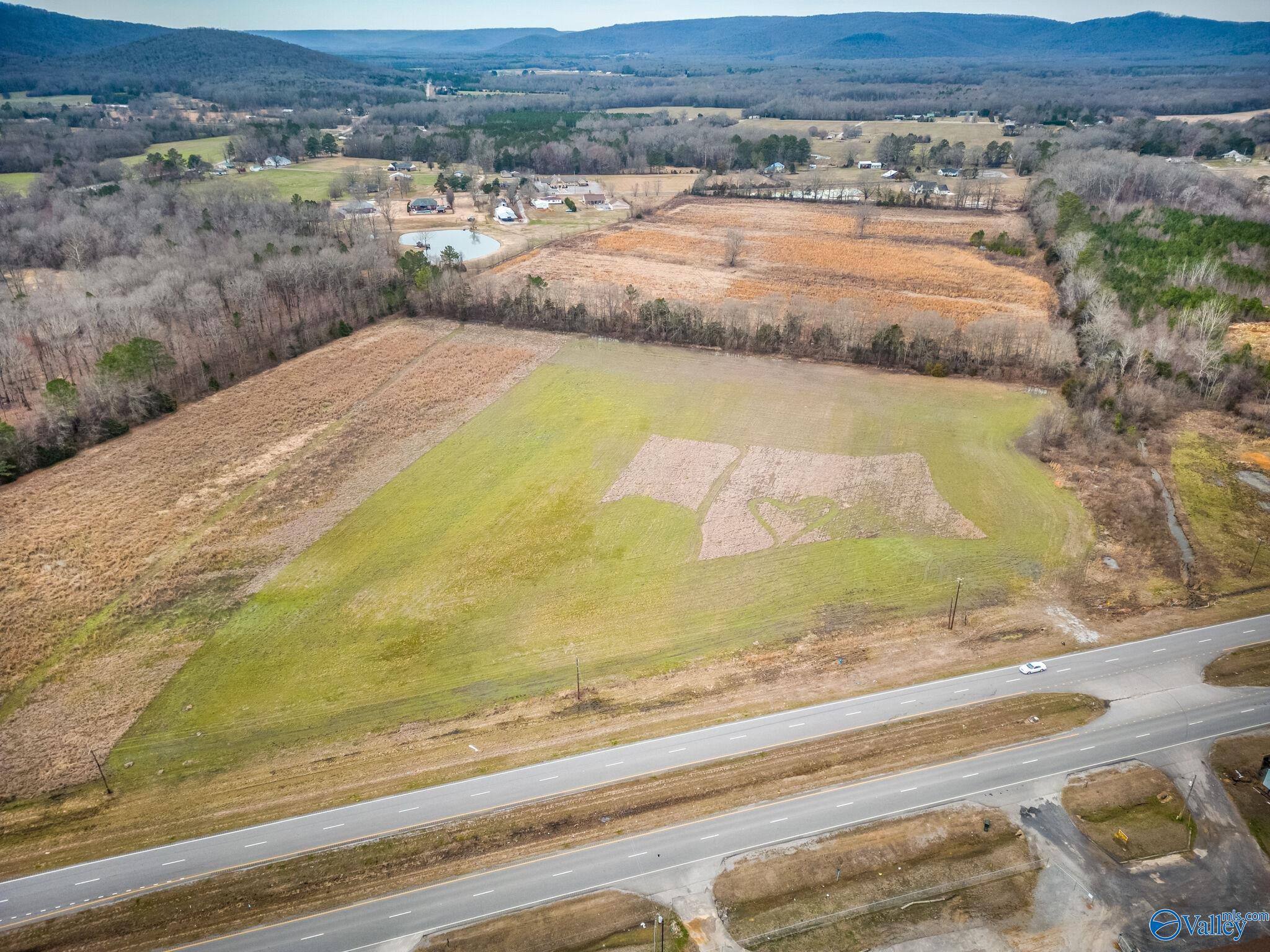 12.5 Acres S U S Hwy 431, New Hope, Alabama image 1