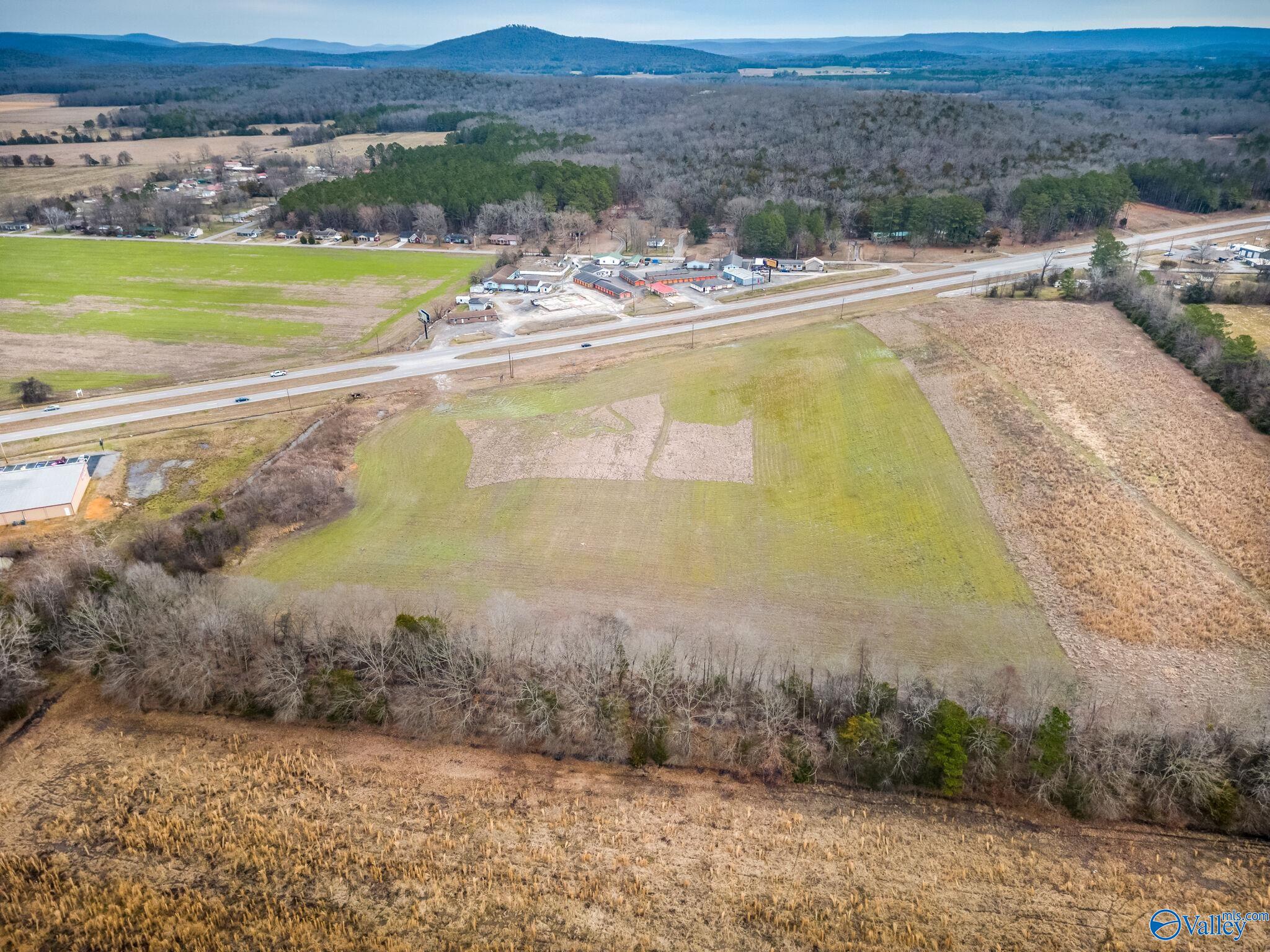 12.5 Acres S U S Hwy 431, New Hope, Alabama image 12