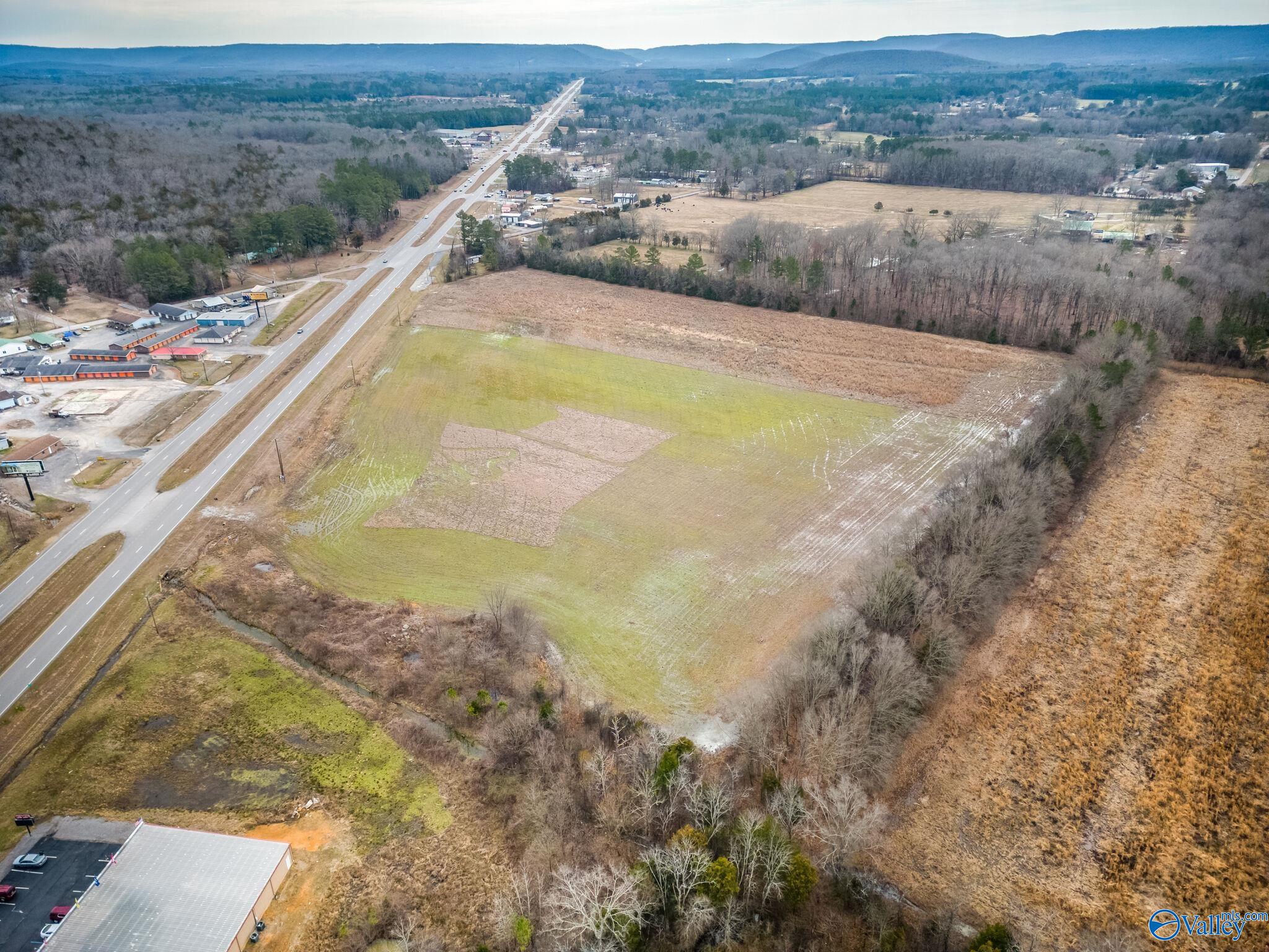 12.5 Acres S U S Hwy 431, New Hope, Alabama image 15