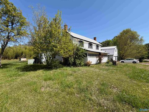 Homes For Sale - 8515 County Road 14<br/> Cherokee County, Piedmont, AL 36272