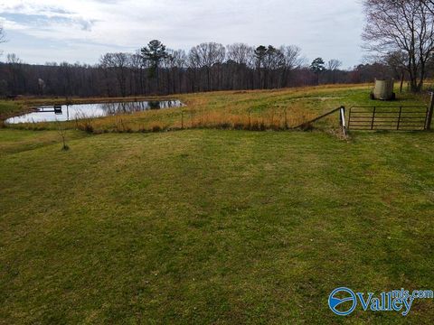 Vacant Land For Sale - 766A Coosa Road<br/> Etowah County, Boaz, AL 35956