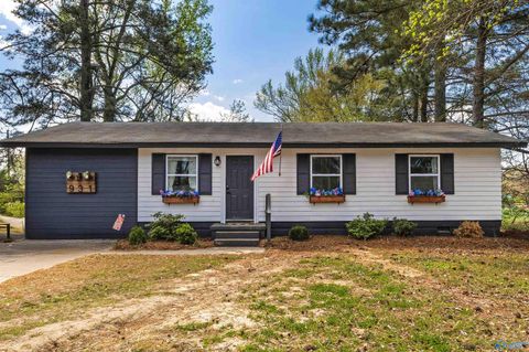 Homes For Sale - 931 Austin Street<br/> Morgan County, Decatur, AL 35601