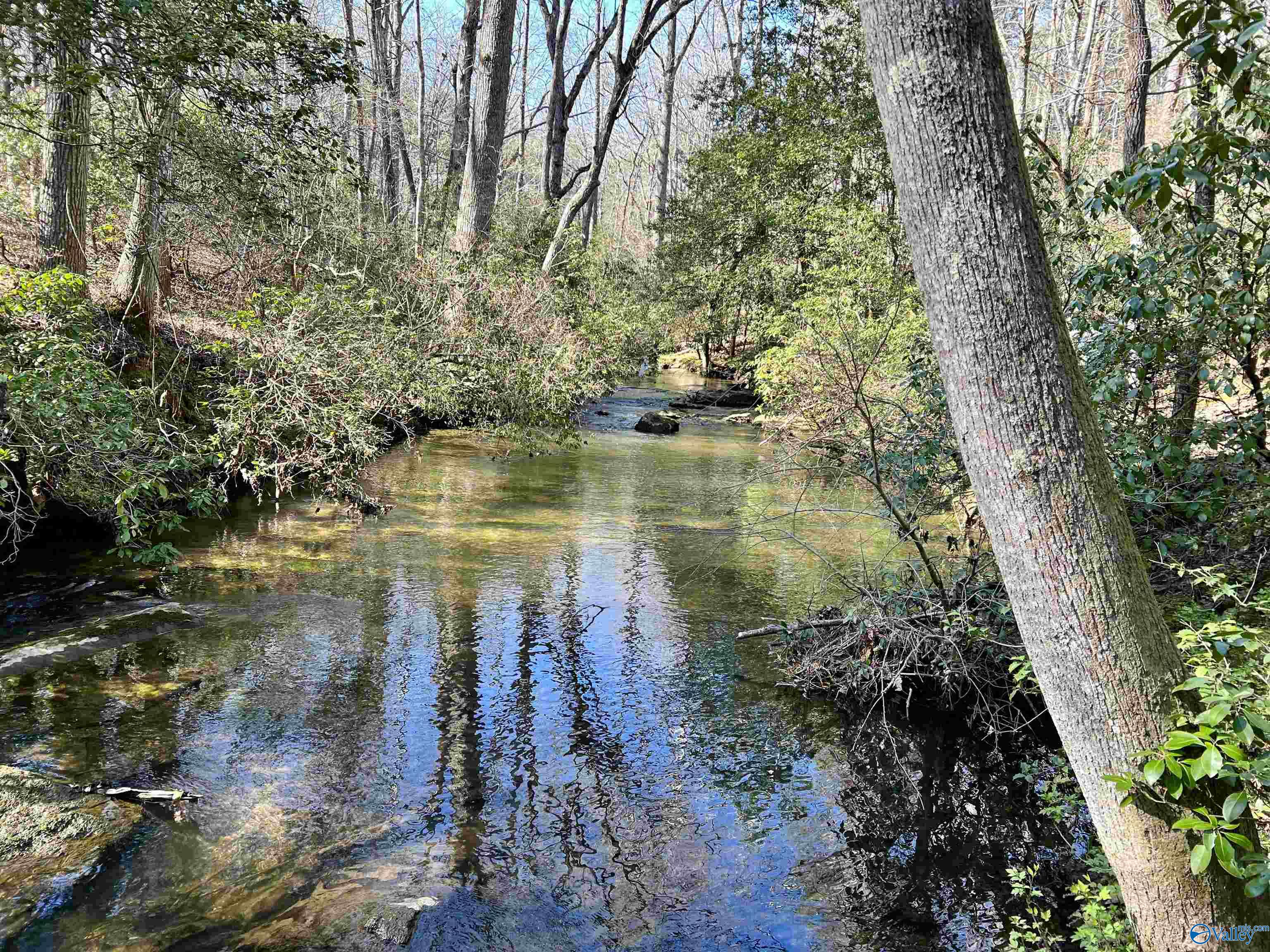 10 Acres Bear Creek Road, Fort Payne, Alabama image 4