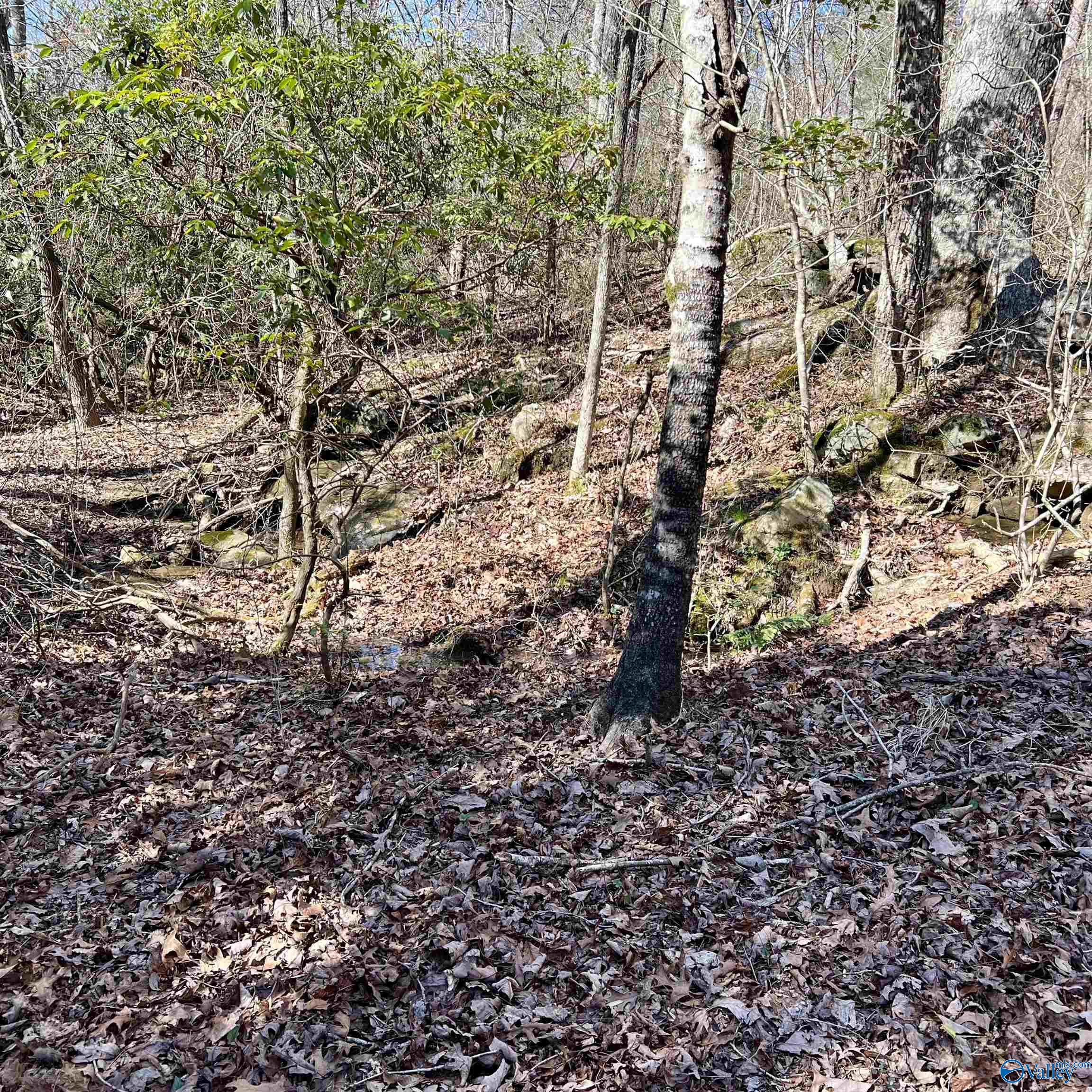 10 Acres Bear Creek Road, Fort Payne, Alabama image 3