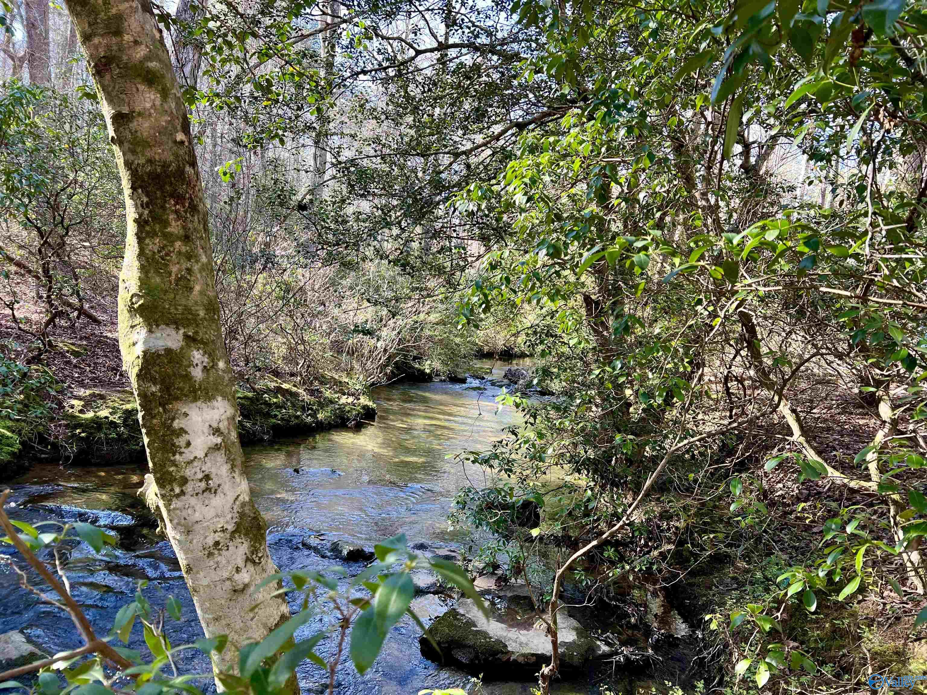 10 Acres Bear Creek Road, Fort Payne, Alabama image 5