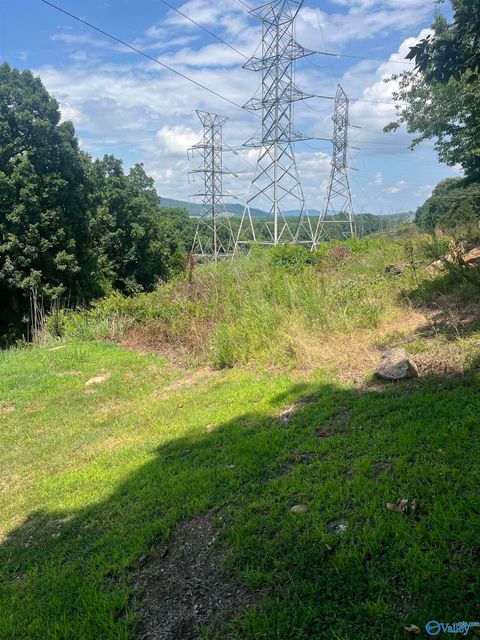 Vacant Land For Sale - 1.12 ACRES Savory Drive<br/> Scottsboro, AL 35769