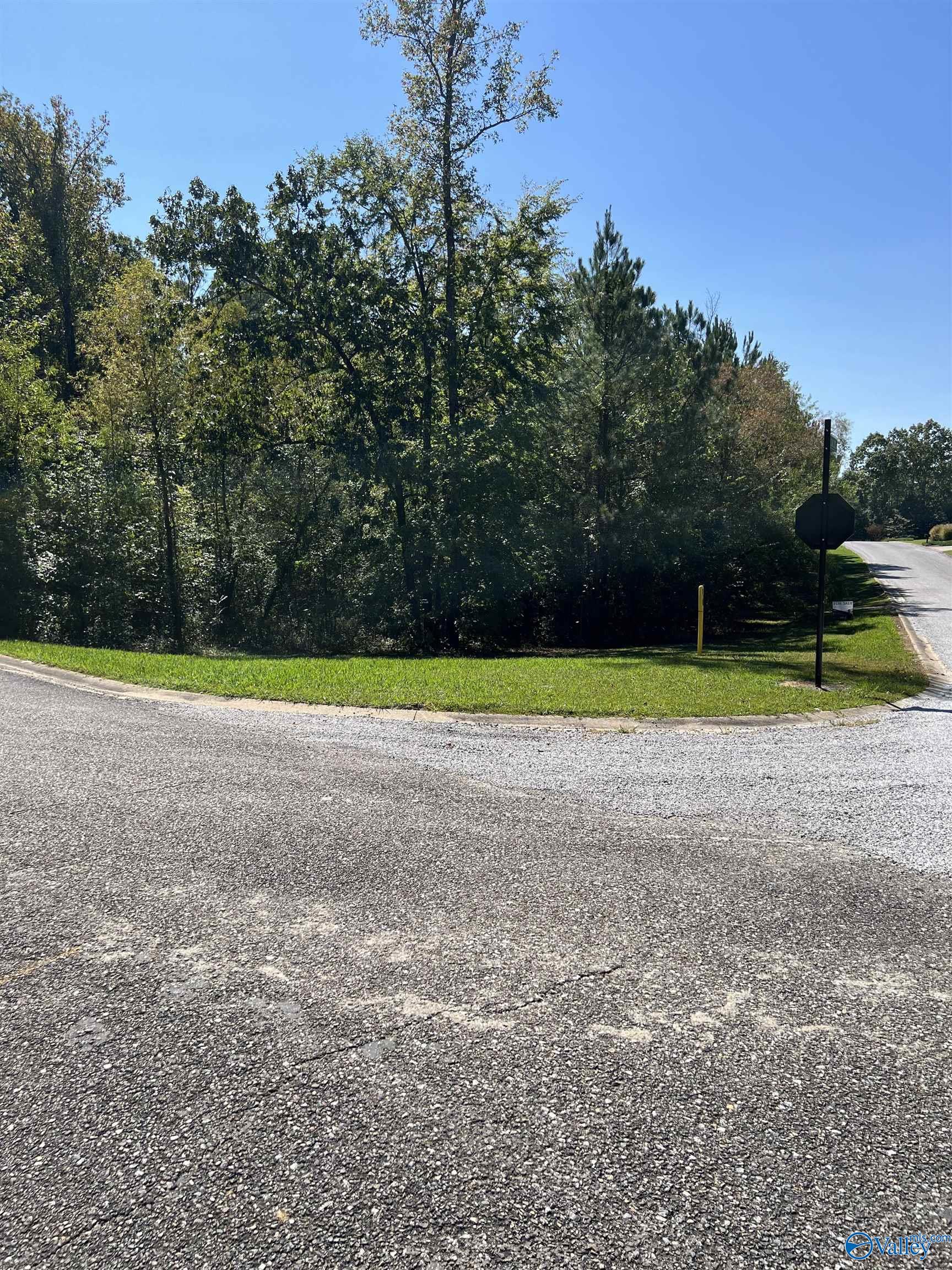 Lot 45 White Oak Circle, Centre, Alabama image 4