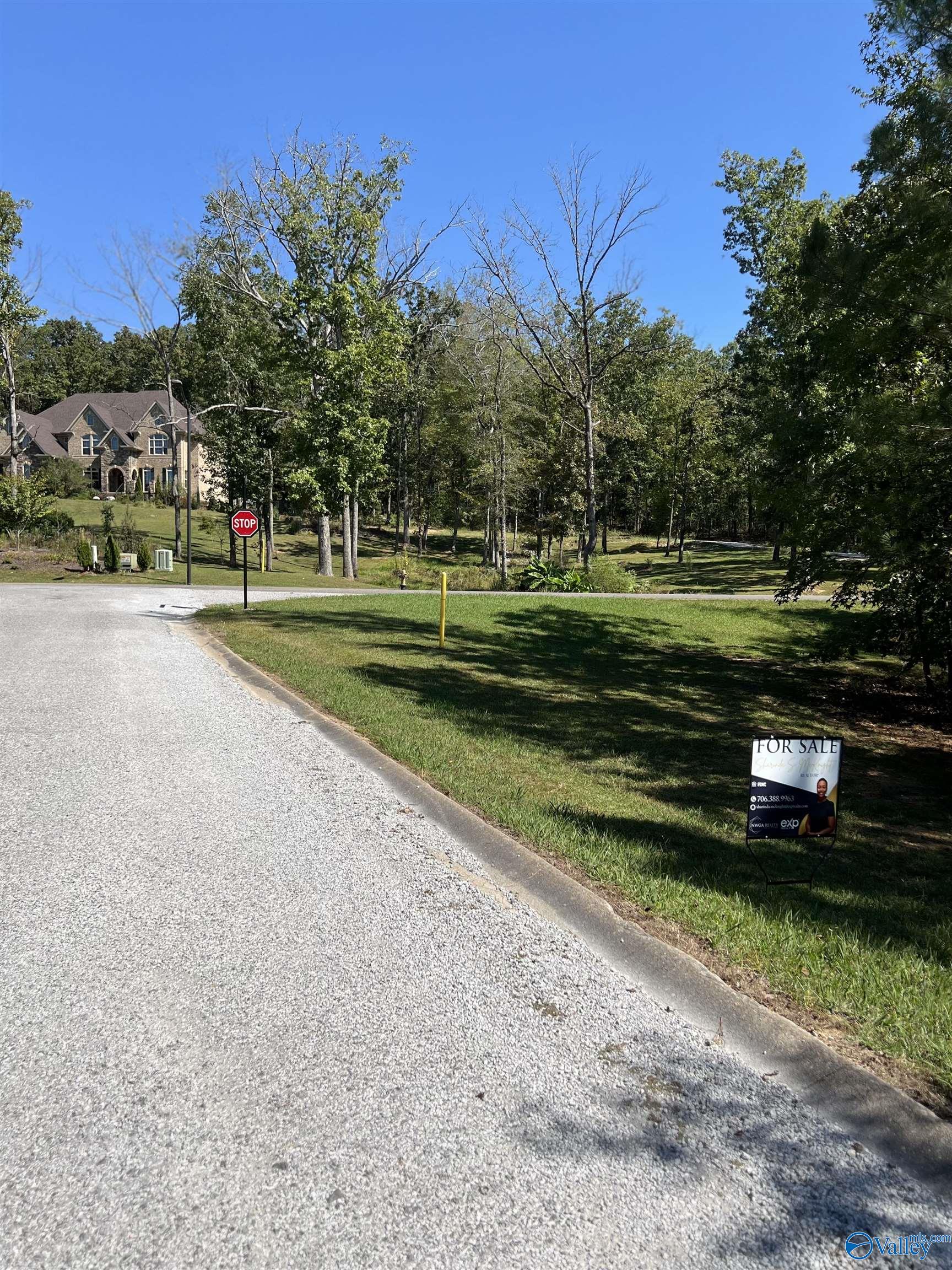 Lot 45 White Oak Circle, Centre, Alabama image 5