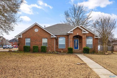 Photo of 136 Garden Brook Drive, Madison, AL 35758 (MLS # 21905250)