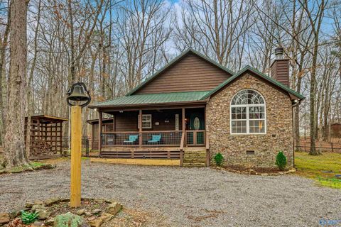 Photo of 611-1 Cove Road, Mentone, AL 35984 (MLS # 21911937)