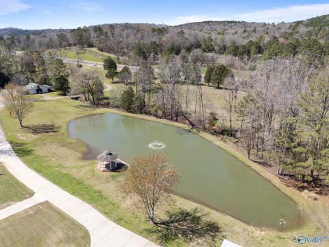 Homes For Sale - 18160 State Highway 75<br/> Blount County, Remlap, AL 35133