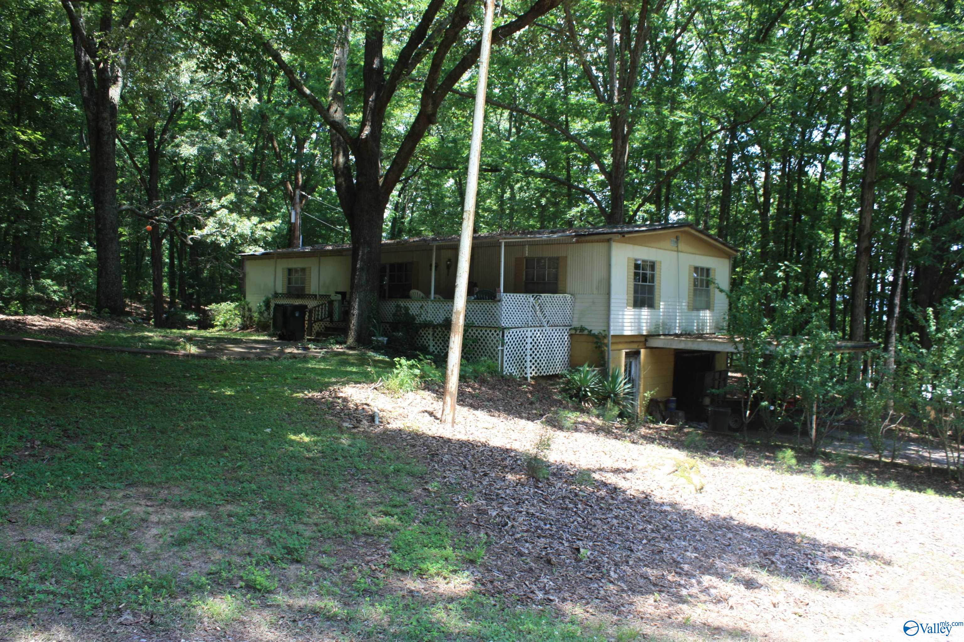 226 Walter Bird Drive, Owens Cross Roads, Alabama image 14