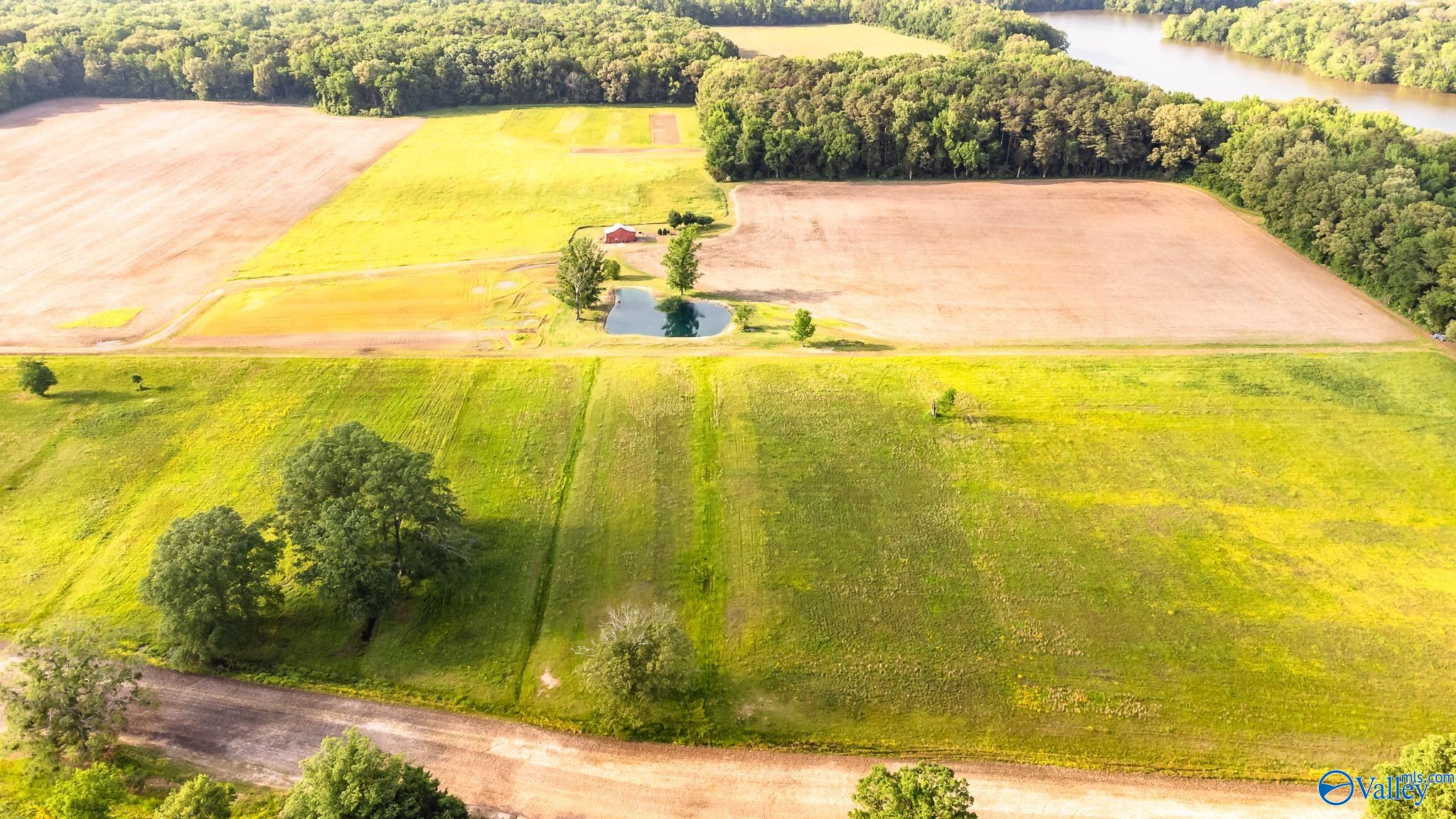 2507 SW Rockhouse Road, Madison, Alabama image 8