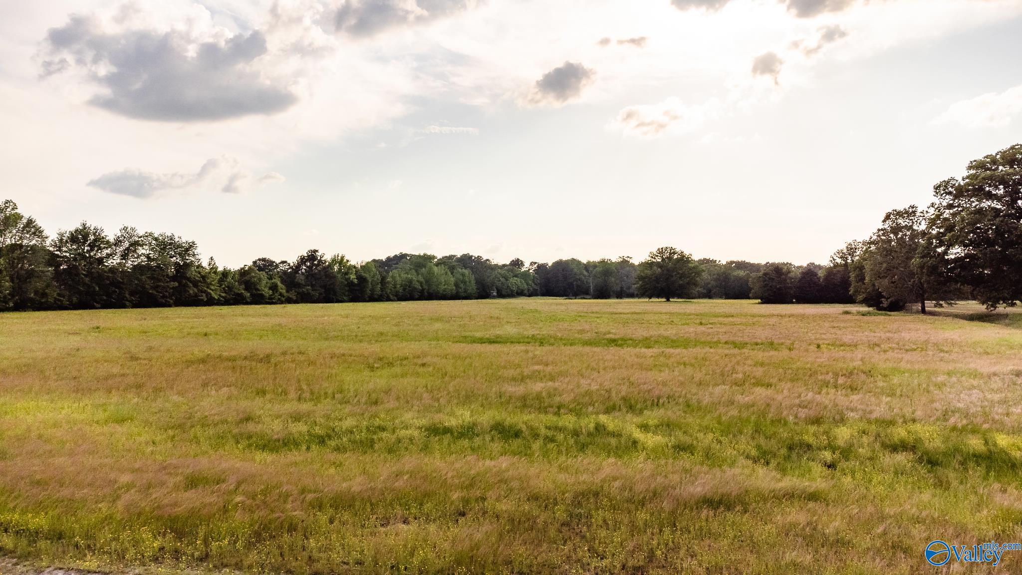 2507 SW Rockhouse Road, Madison, Alabama image 22
