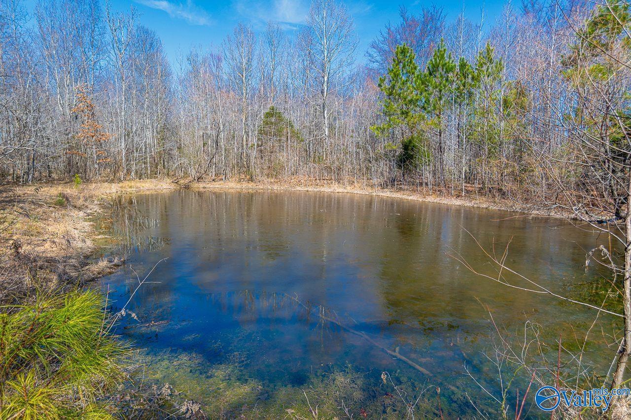 12317 Quinn Road, Athens, Alabama image 15