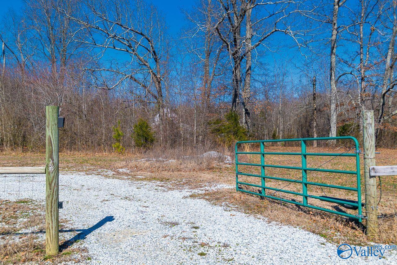 12317 Quinn Road, Athens, Alabama image 14